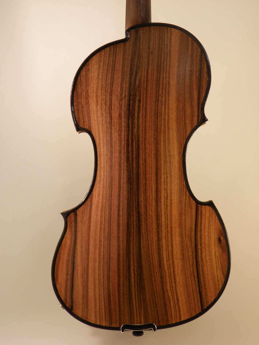Neolin in exotic woods - Bodo Vosshenrich maître Luthier - violon 