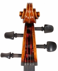 cello-tête-devant